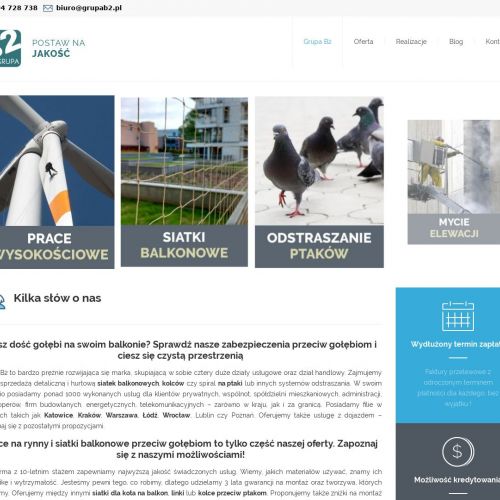 Siatka przeciw wypadnięciu kota w Katowicach