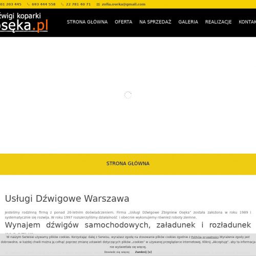 Wynajem dźwigów budowlanych