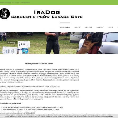 Szkolenie psów gmina zbrosławice w Częstochowie