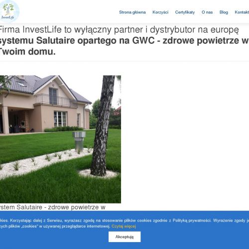 Jak stworzyć przestrzeń przyjazną dla alergikowi