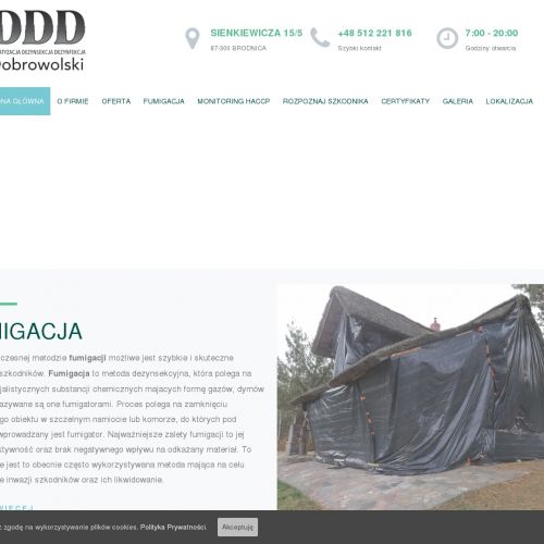 Odpluskwianie w Brodnicy