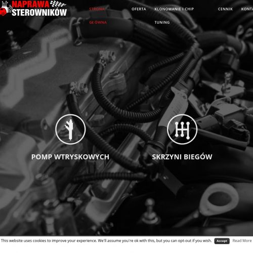 Naprawa pomp wtryskowych - Kraków