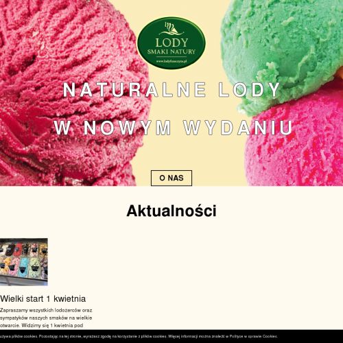 Lody naturalne franczyza