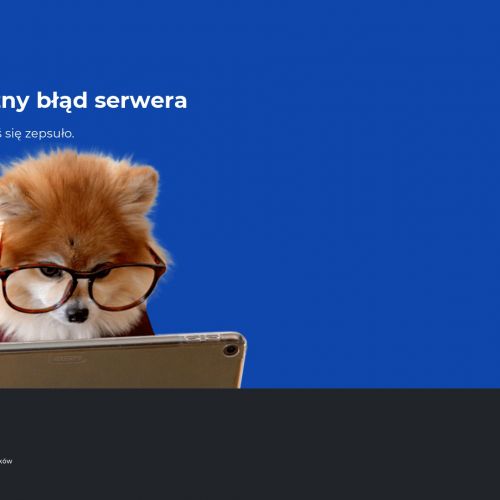 Wrocław - kurs na wózki widłowe wrocław cena