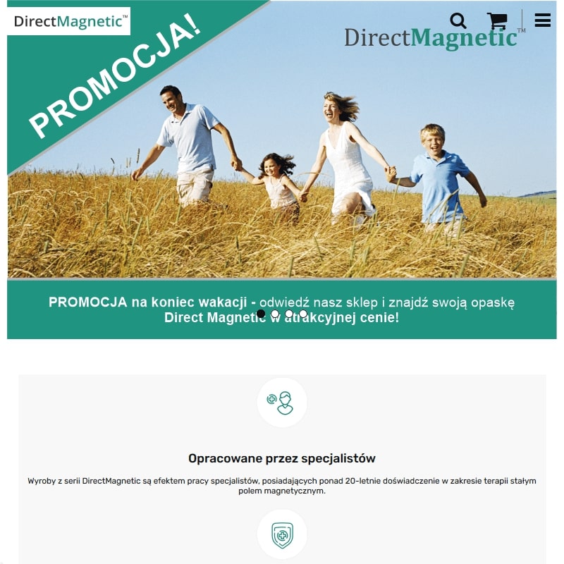 Wkładki magnetyczne