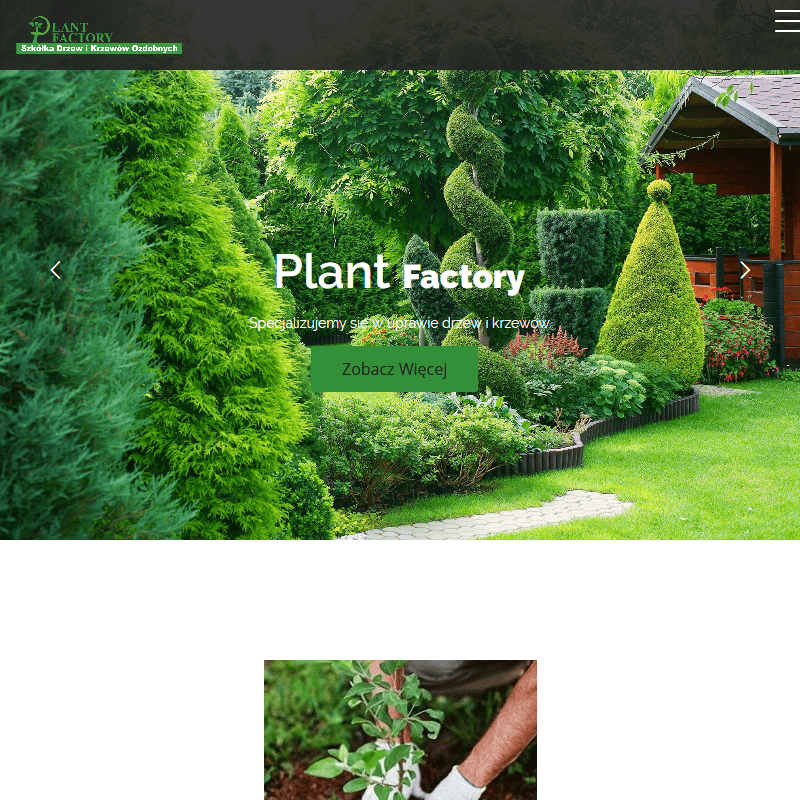 Krzewy liściaste do ogrodu