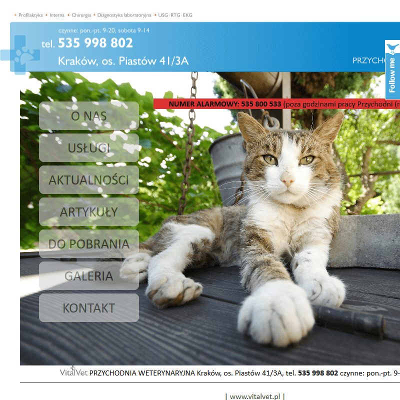 Cennik weterynarz - Skawina